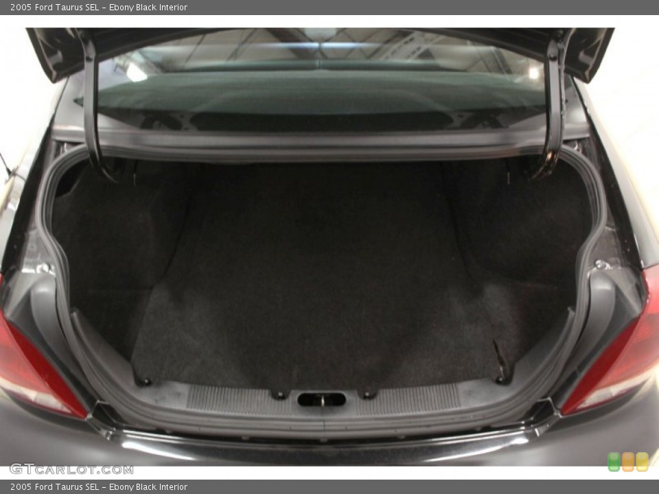 Ebony Black Interior Trunk for the 2005 Ford Taurus SEL #67843091