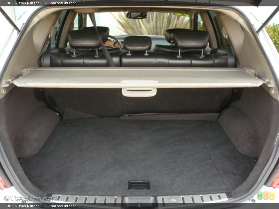 Charcoal Interior Trunk for the 2003 Nissan Murano SL #67987373