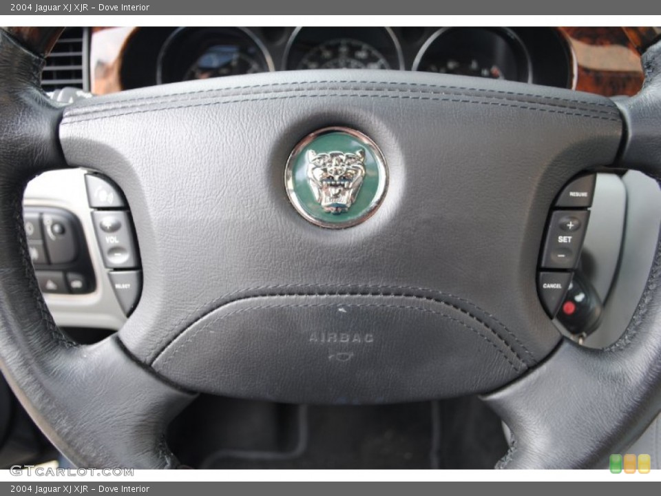 Dove Interior Controls for the 2004 Jaguar XJ XJR #68241430