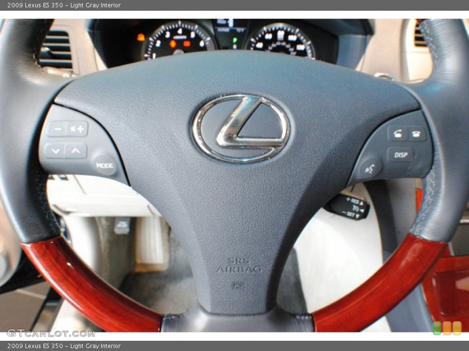 Light Gray Interior Steering Wheel for the 2009 Lexus ES 350 #69193198