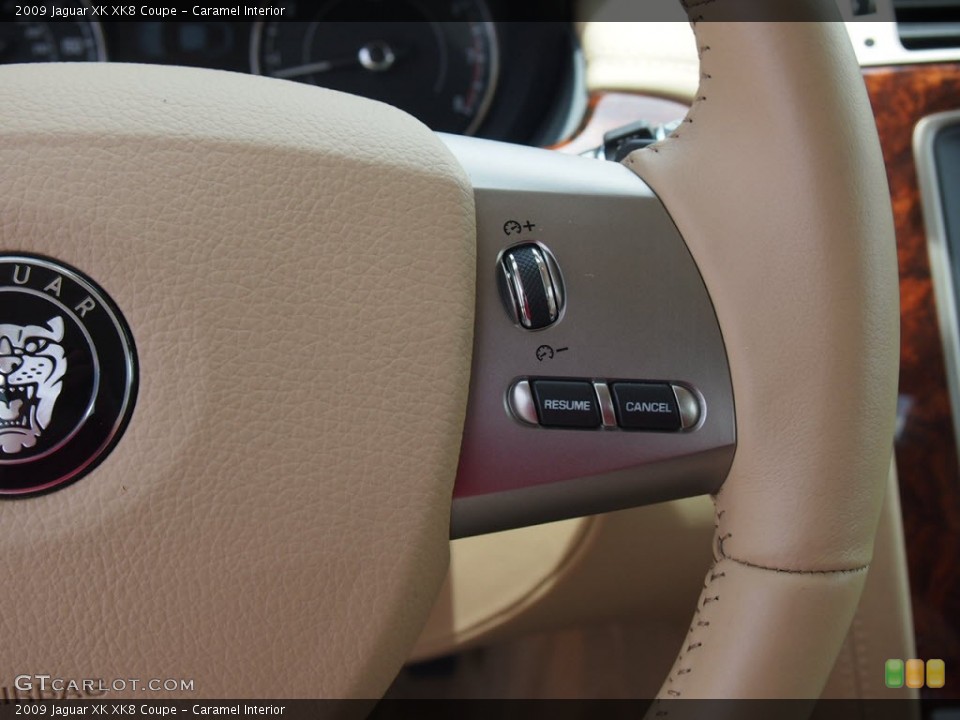 Caramel Interior Controls for the 2009 Jaguar XK XK8 Coupe #69511564