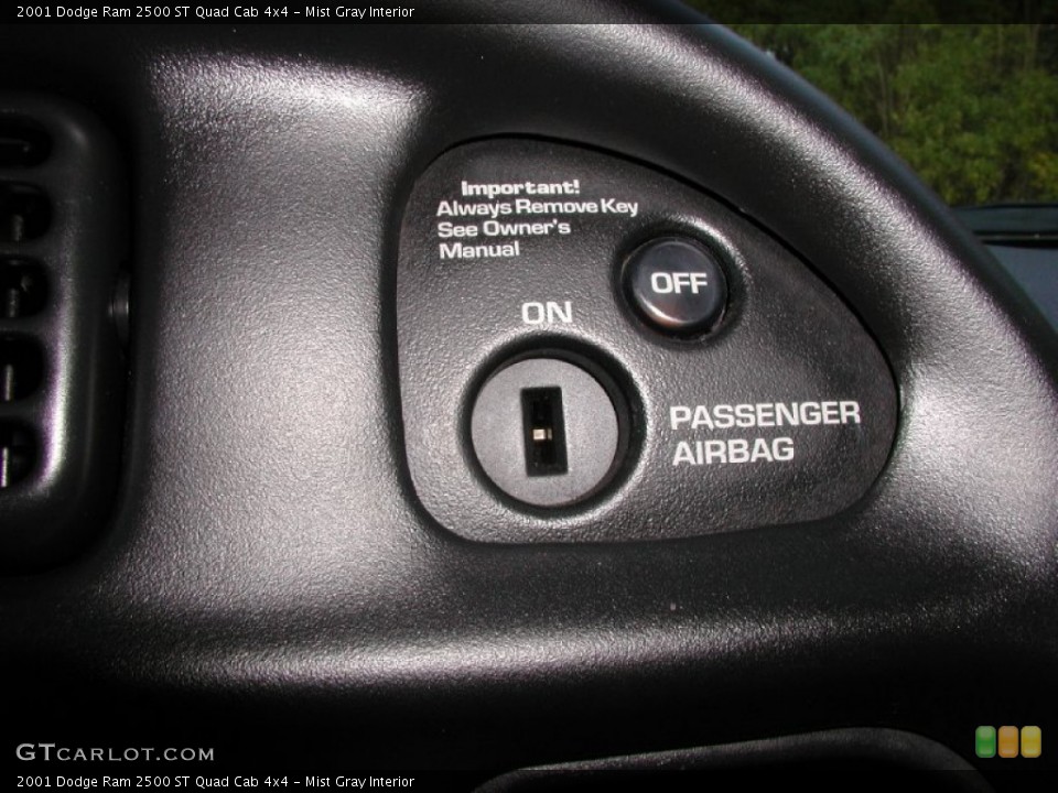 Mist Gray Interior Controls for the 2001 Dodge Ram 2500 ST Quad Cab 4x4 #71827277