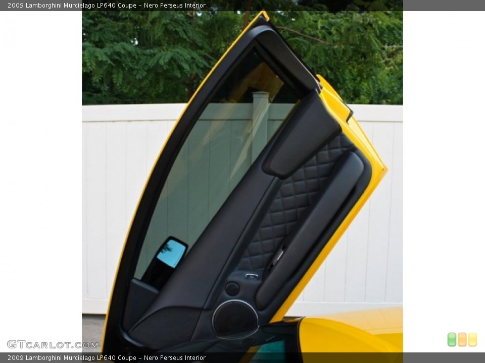 Nero Perseus Interior Door Panel for the 2009 Lamborghini Murcielago LP640 Coupe #73369256