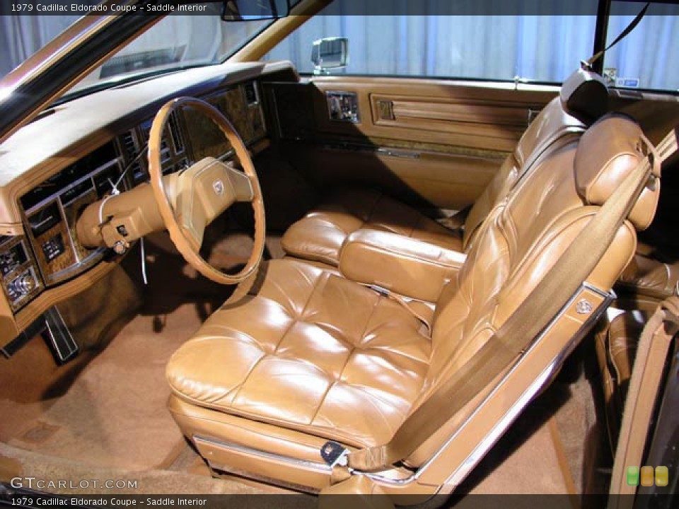Saddle Interior Photo for the 1979 Cadillac Eldorado Coupe #73464