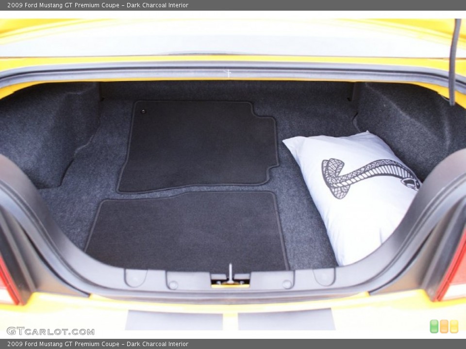 Dark Charcoal Interior Trunk for the 2009 Ford Mustang GT Premium Coupe #73889252