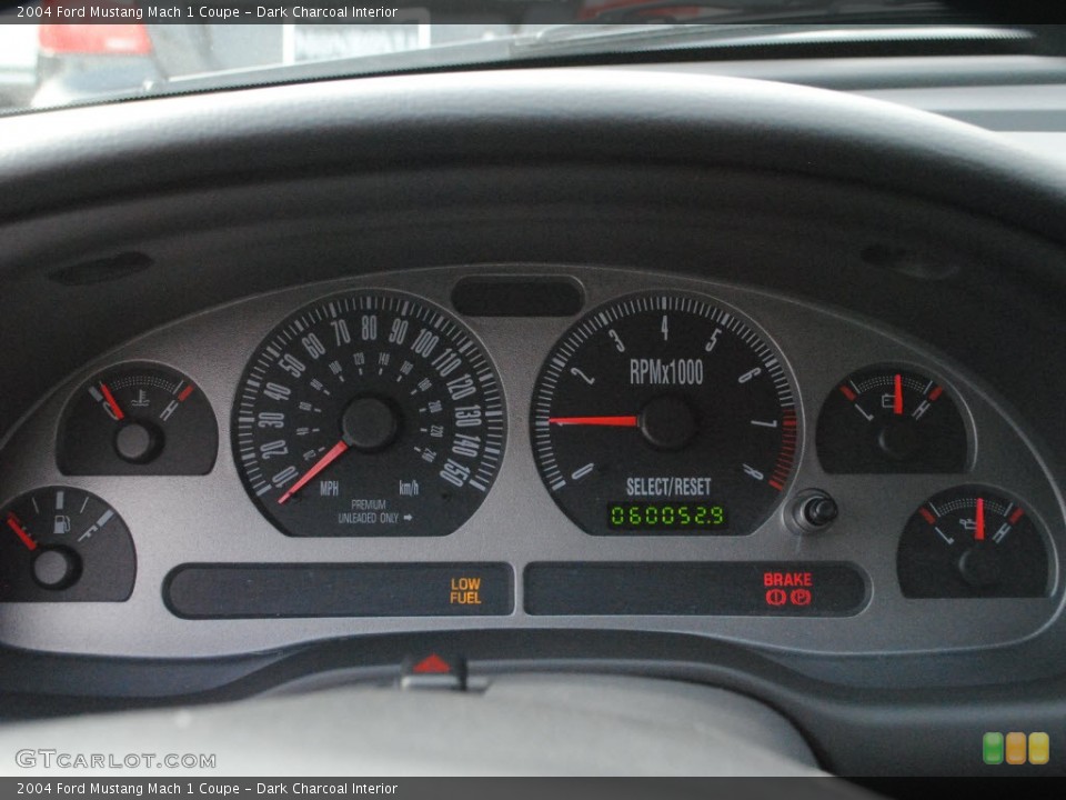 Dark Charcoal Interior Gauges for the 2004 Ford Mustang Mach 1 Coupe #74075597