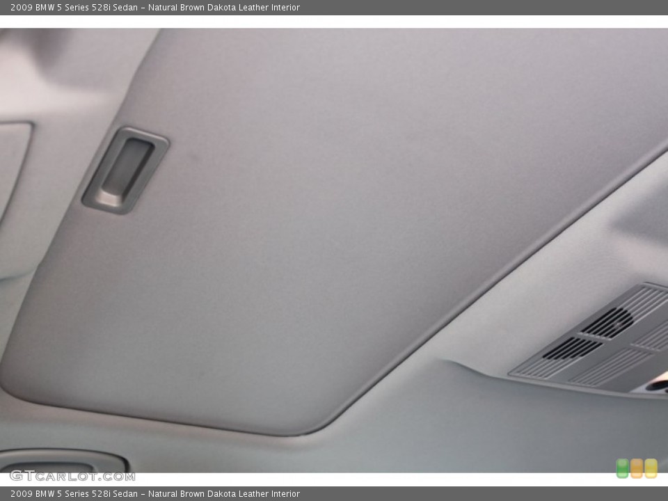 Natural Brown Dakota Leather Interior Sunroof for the 2009 BMW 5 Series 528i Sedan #74447300