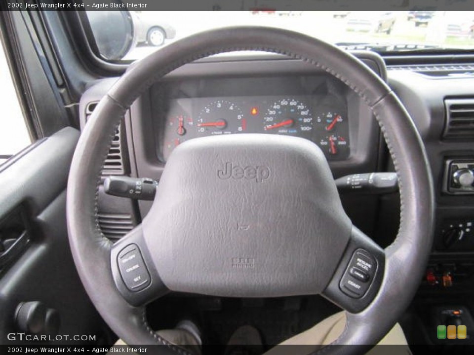 Agate Black Interior Steering Wheel for the 2002 Jeep Wrangler X 4x4 #74681466