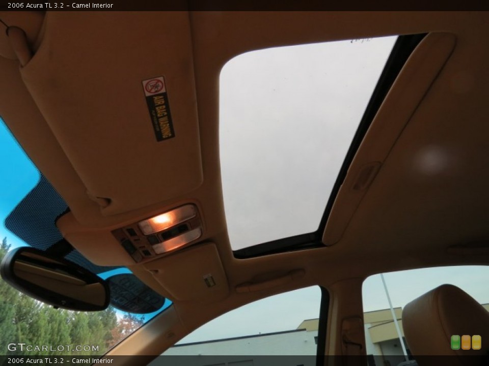 Camel Interior Sunroof for the 2006 Acura TL 3.2 #74729146