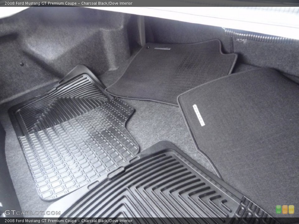 Charcoal Black/Dove Interior Trunk for the 2008 Ford Mustang GT Premium Coupe #74867483