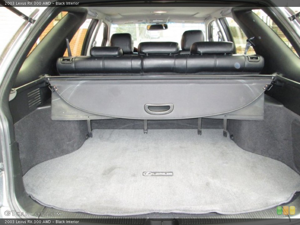 Black Interior Trunk for the 2003 Lexus RX 300 AWD #76974610