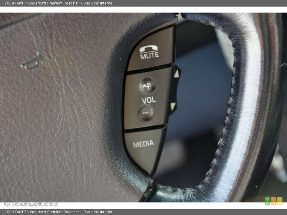 Black Ink Interior Controls for the 2004 Ford Thunderbird Premium Roadster #77233881