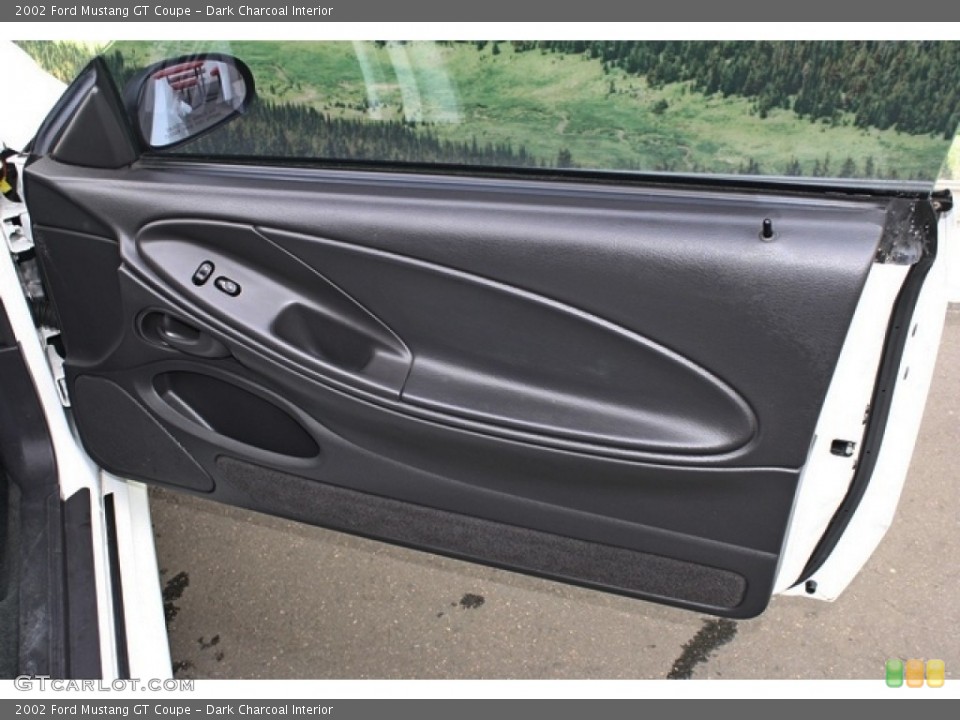 Dark Charcoal Interior Door Panel for the 2002 Ford Mustang GT Coupe #77251277