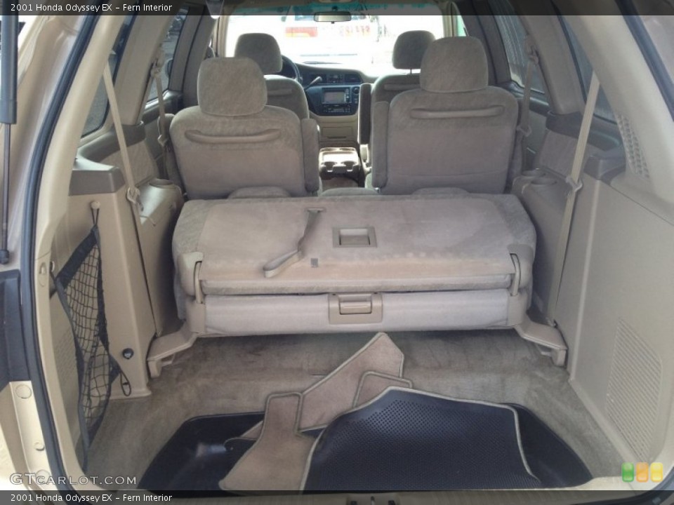 Fern Interior Trunk for the 2001 Honda Odyssey EX #78407292