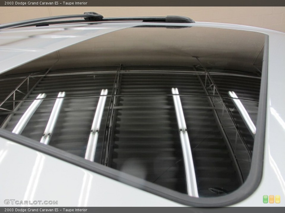 Taupe Interior Sunroof for the 2003 Dodge Grand Caravan ES #79130175