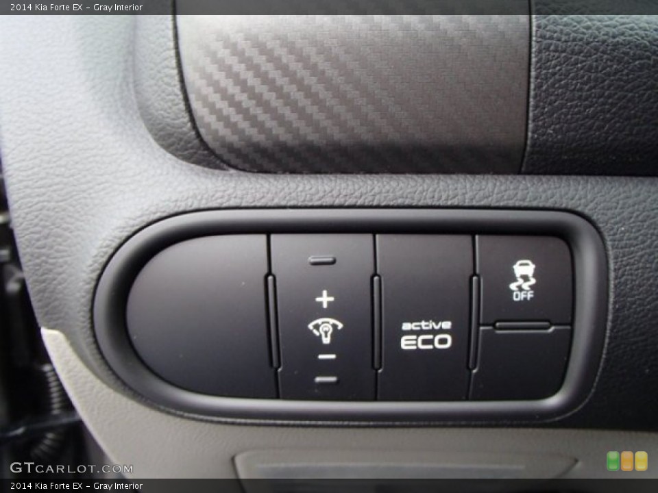 Gray Interior Controls for the 2014 Kia Forte EX #80017816