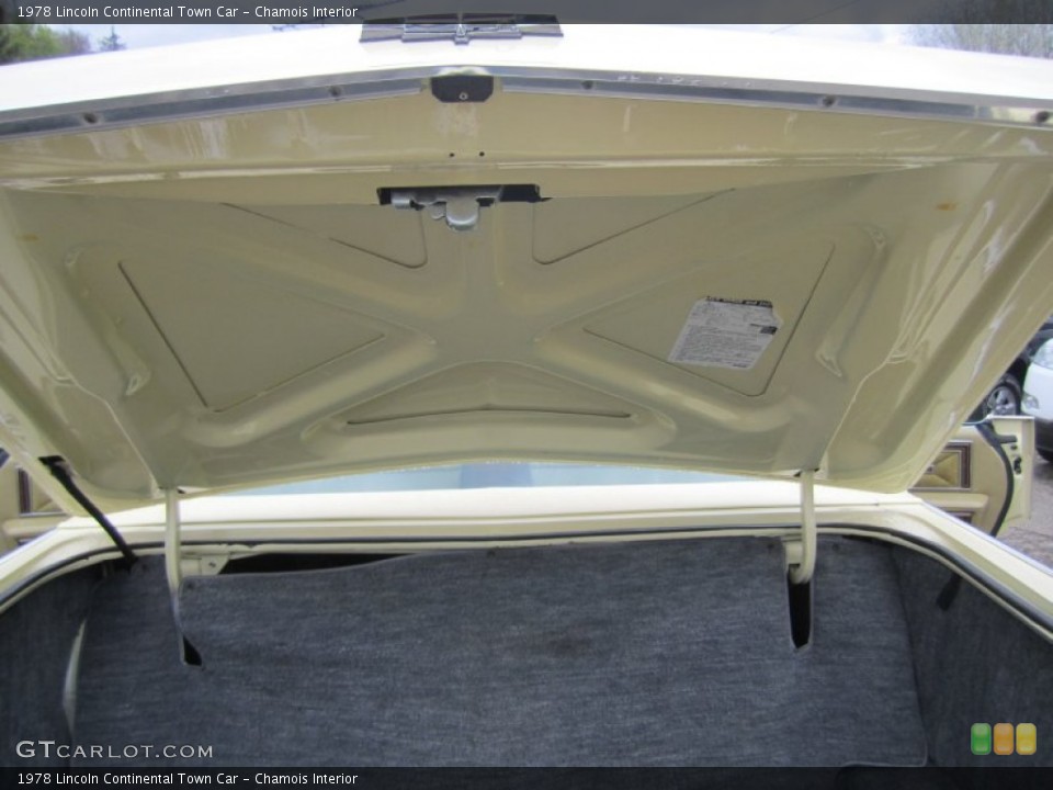 Chamois Interior Trunk for the 1978 Lincoln Continental Town Car #80391063