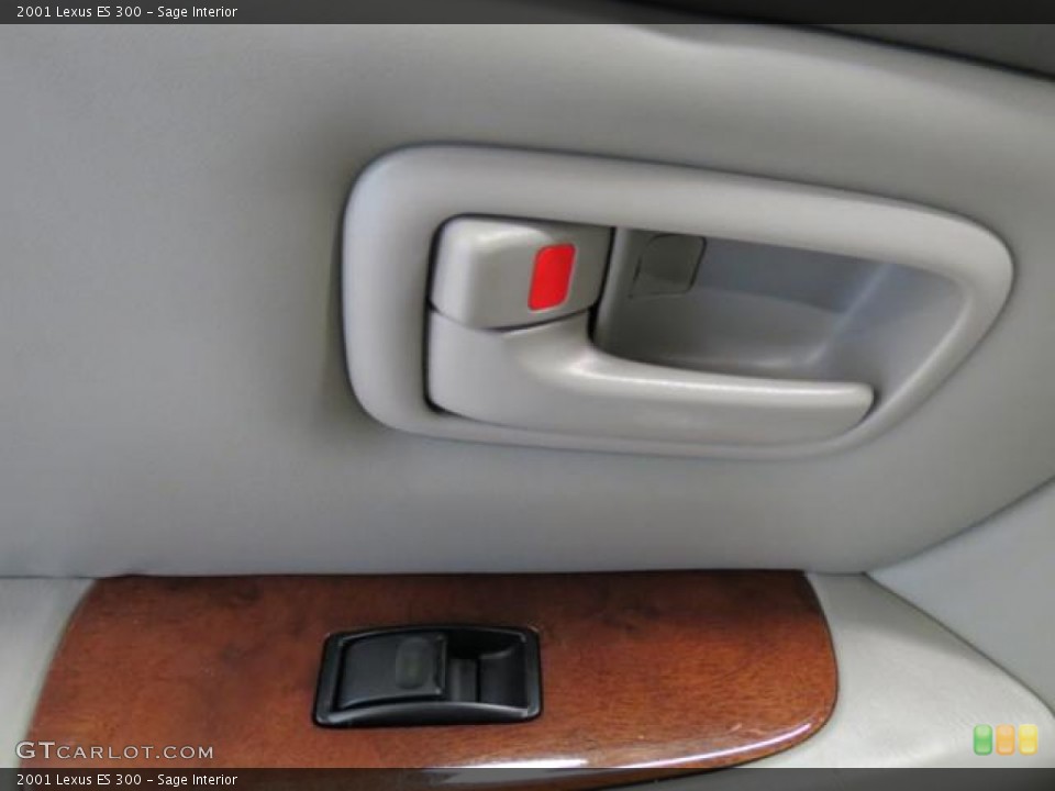 Sage Interior Controls for the 2001 Lexus ES 300 #81335691