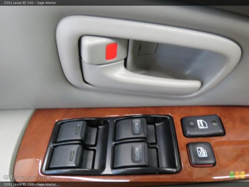 Sage Interior Controls for the 2001 Lexus ES 300 #81335783