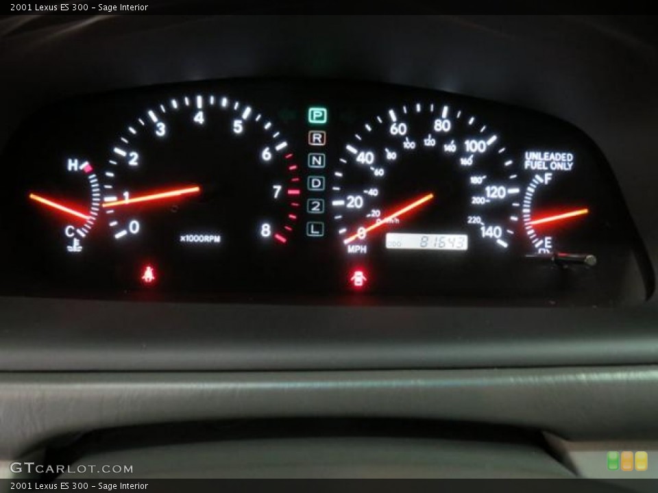 Sage Interior Gauges for the 2001 Lexus ES 300 #81335867