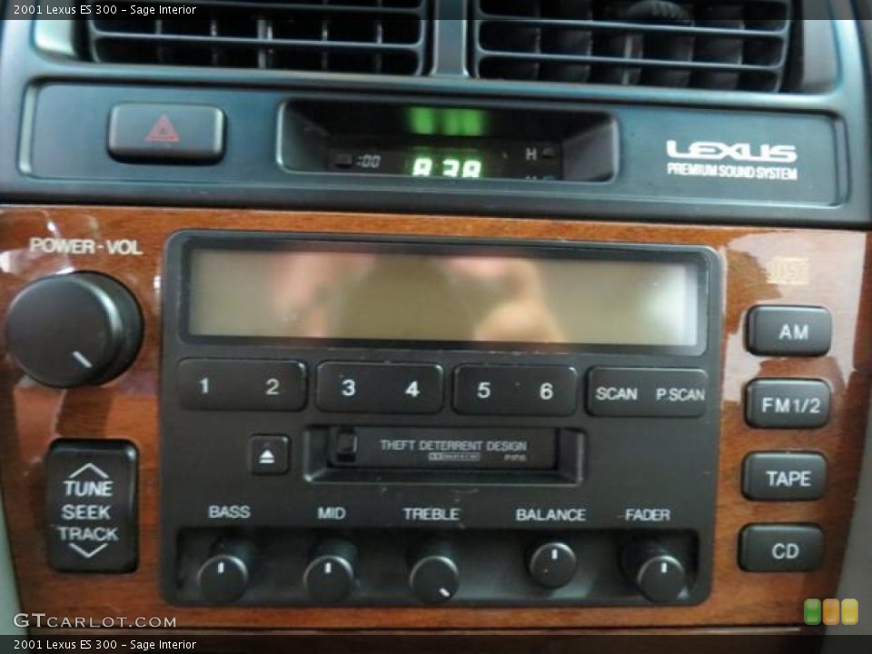 Sage Interior Controls for the 2001 Lexus ES 300 #81335891