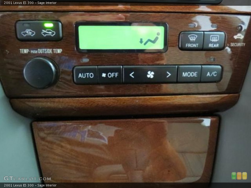 Sage Interior Controls for the 2001 Lexus ES 300 #81335902