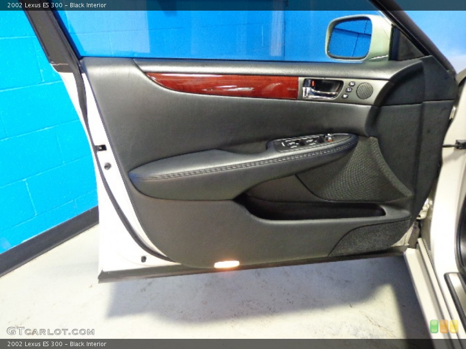 Black Interior Door Panel for the 2002 Lexus ES 300 #81380063