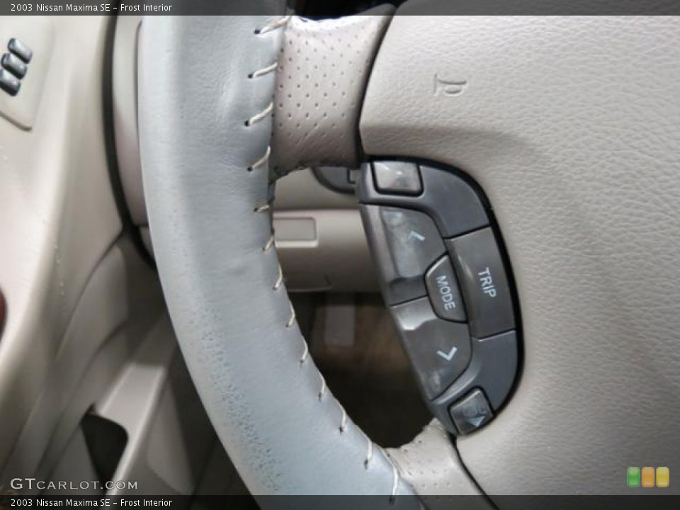 Frost Interior Controls for the 2003 Nissan Maxima SE #82006799