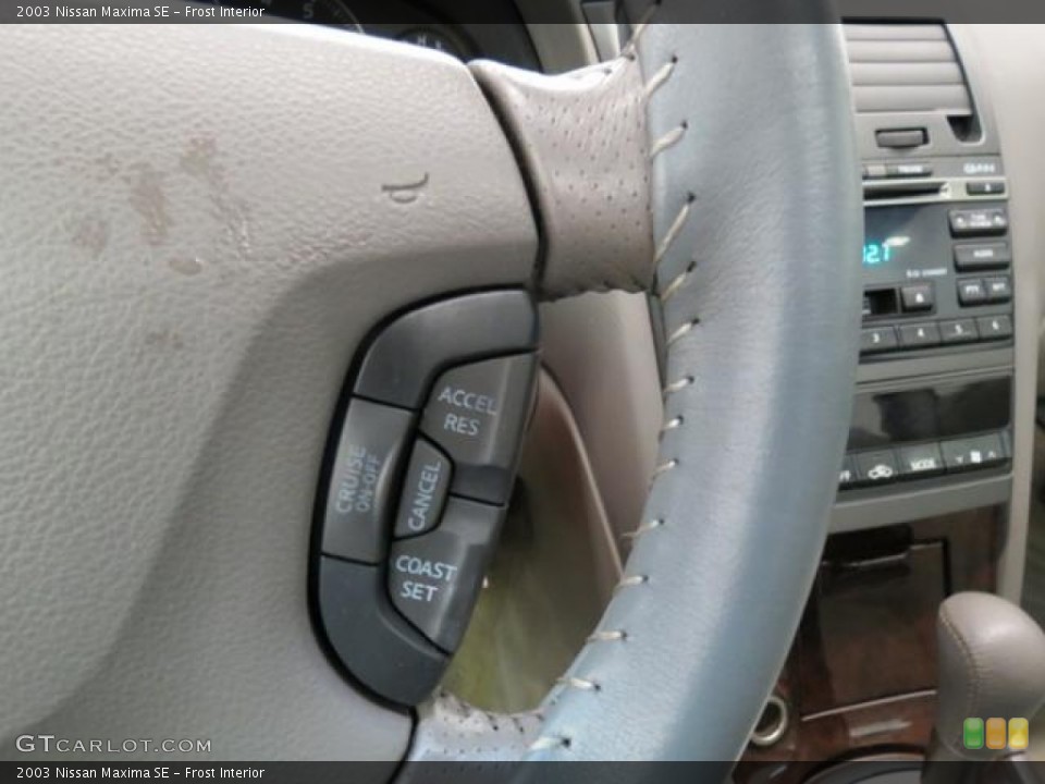 Frost Interior Controls for the 2003 Nissan Maxima SE #82006817