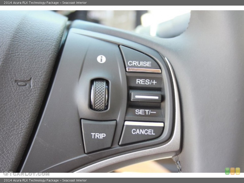 Seacoast Interior Controls for the 2014 Acura RLX Technology Package #82931243