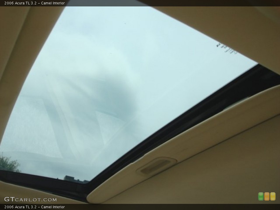 Camel Interior Sunroof for the 2006 Acura TL 3.2 #84096419