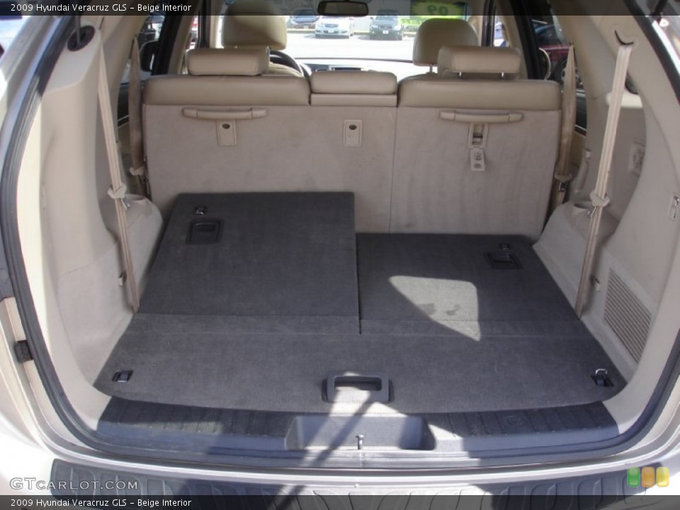 Beige Interior Trunk for the 2009 Hyundai Veracruz GLS #86254190