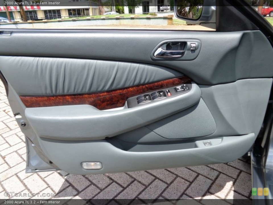 Fern Interior Door Panel for the 2000 Acura TL 3.2 #91900774