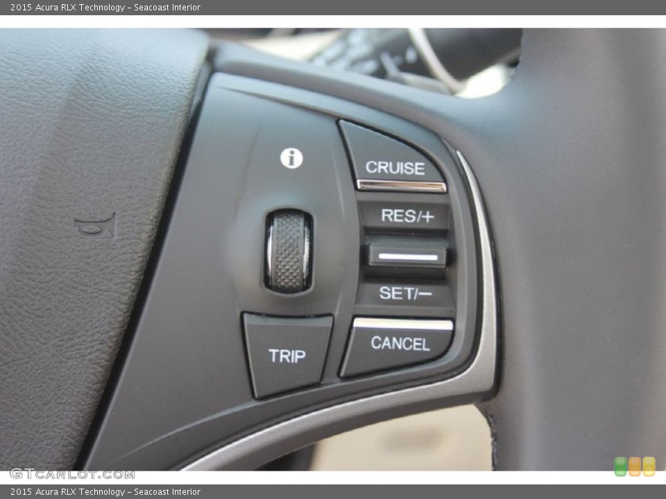 Seacoast Interior Controls for the 2015 Acura RLX Technology #96265605