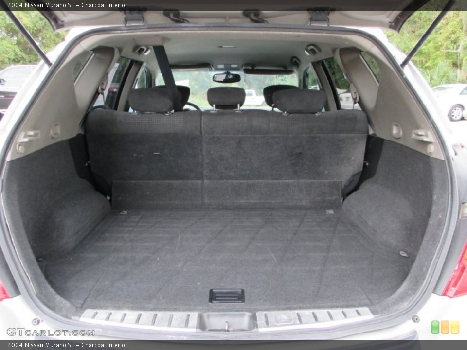 Charcoal Interior Trunk for the 2004 Nissan Murano SL #98683336
