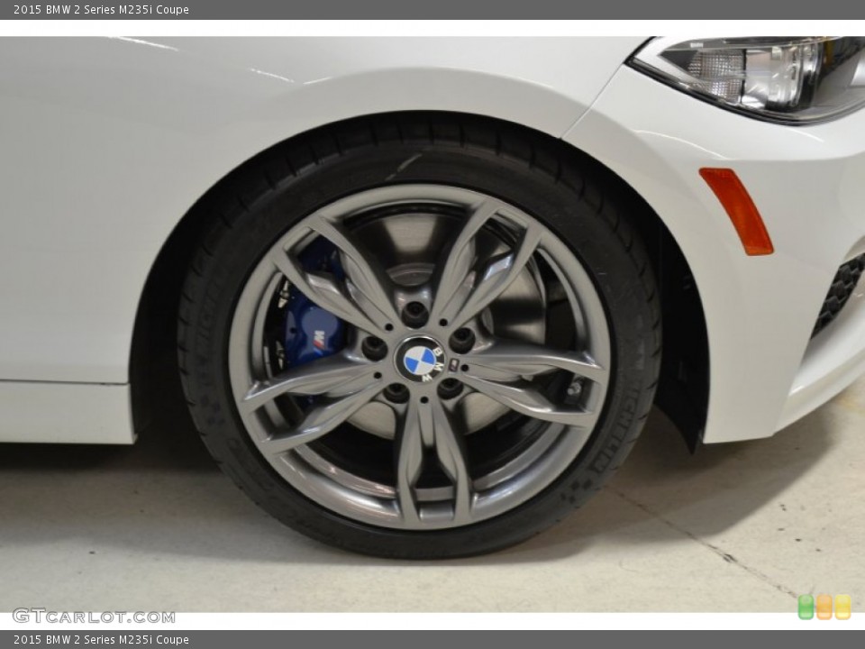 2015 BMW 2 Series M235i Coupe Wheel and Tire Photo #102249606