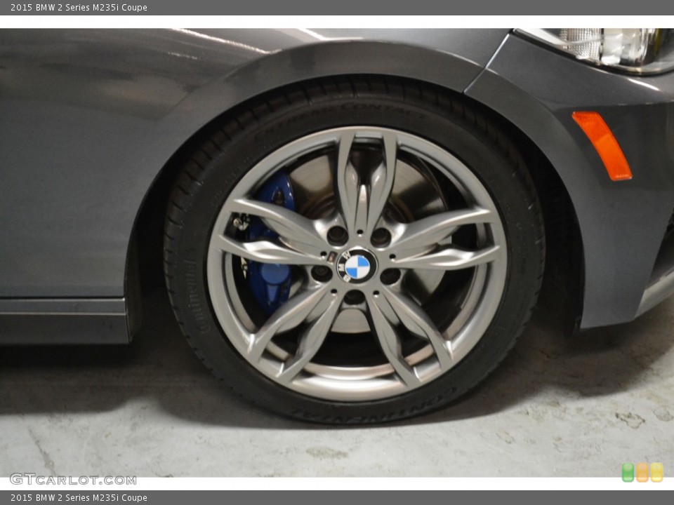 2015 BMW 2 Series M235i Coupe Wheel and Tire Photo #107445439