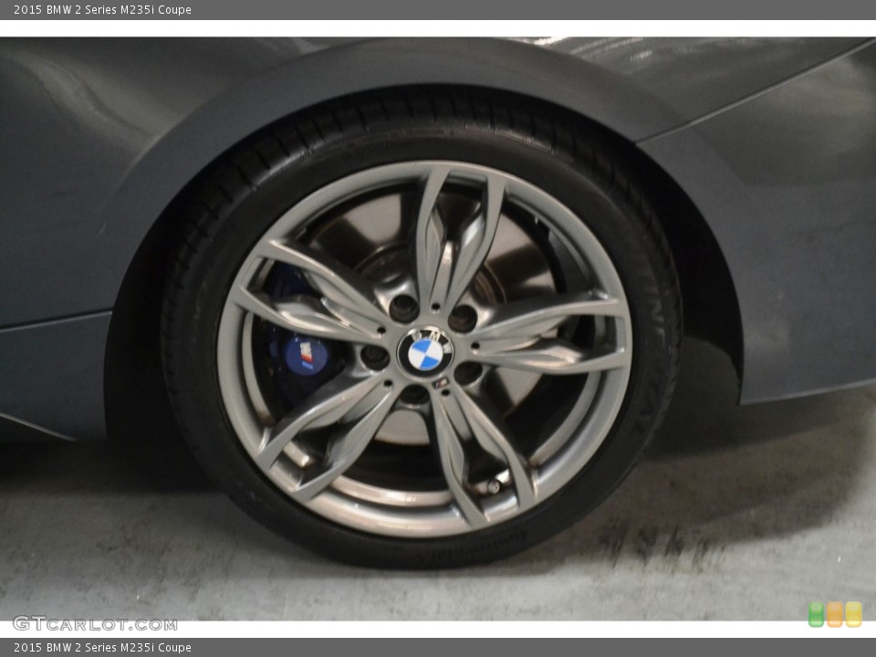 2015 BMW 2 Series M235i Coupe Wheel and Tire Photo #107445670