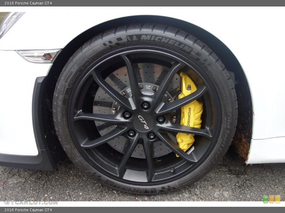 2016 Porsche Cayman GT4 Wheel and Tire Photo #108615509