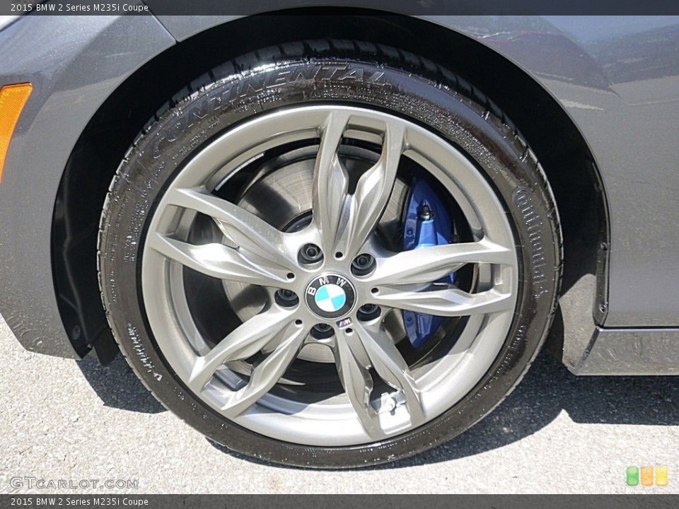 2015 BMW 2 Series M235i Coupe Wheel and Tire Photo #112385639