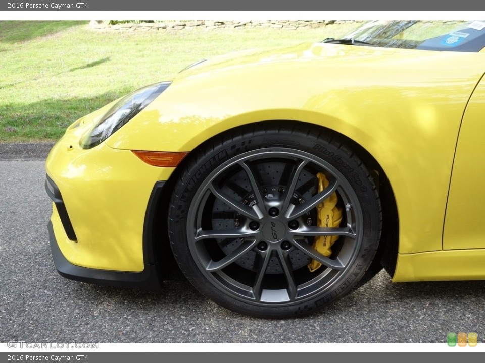2016 Porsche Cayman GT4 Wheel and Tire Photo #112886580