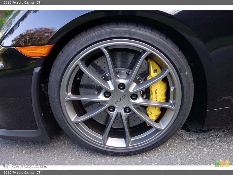 2016 Porsche Cayman GT4 Wheel and Tire Photo #114114484
