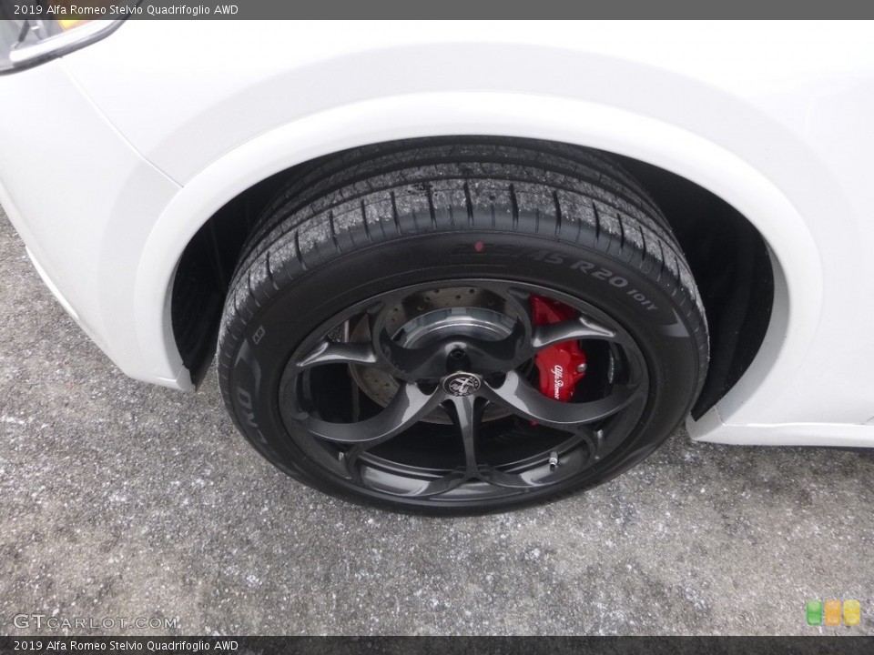 2019 Alfa Romeo Stelvio Quadrifoglio AWD Wheel and Tire Photo #130797597