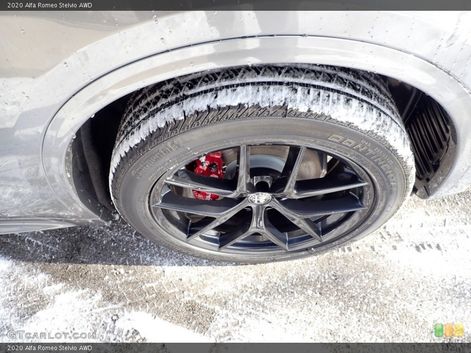 2020 Alfa Romeo Stelvio AWD Wheel and Tire Photo #136897047