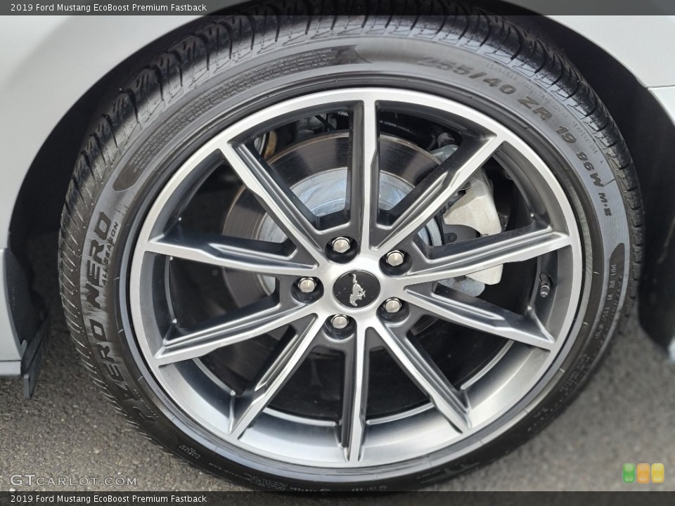 2019 Ford Mustang EcoBoost Premium Fastback Wheel and Tire Photo #140653510