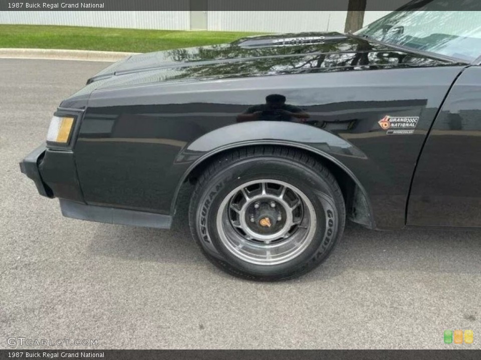 1987 Buick Regal Grand National Wheel and Tire Photo #143895512