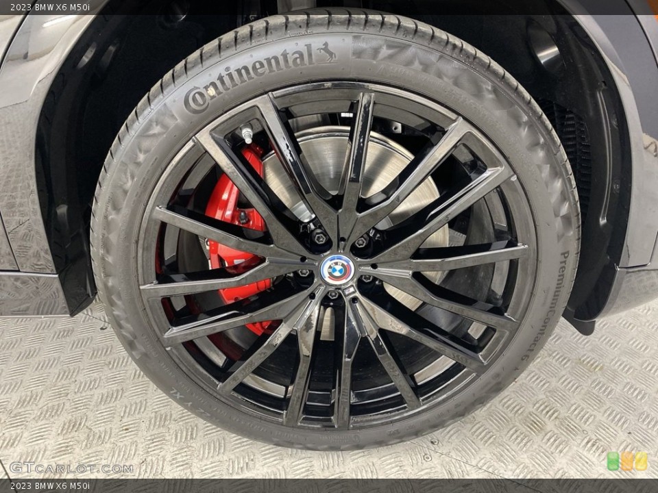 2023 BMW X6 Wheels and Tires
