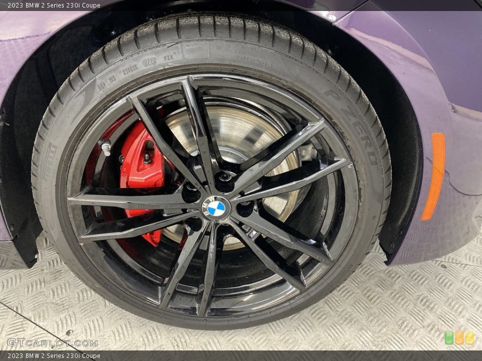 2023 BMW 2 Series 230i Coupe Wheel and Tire Photo #145682377