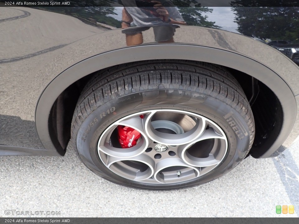 2024 Alfa Romeo Stelvio Sprint AWD Wheel and Tire Photo #146358779