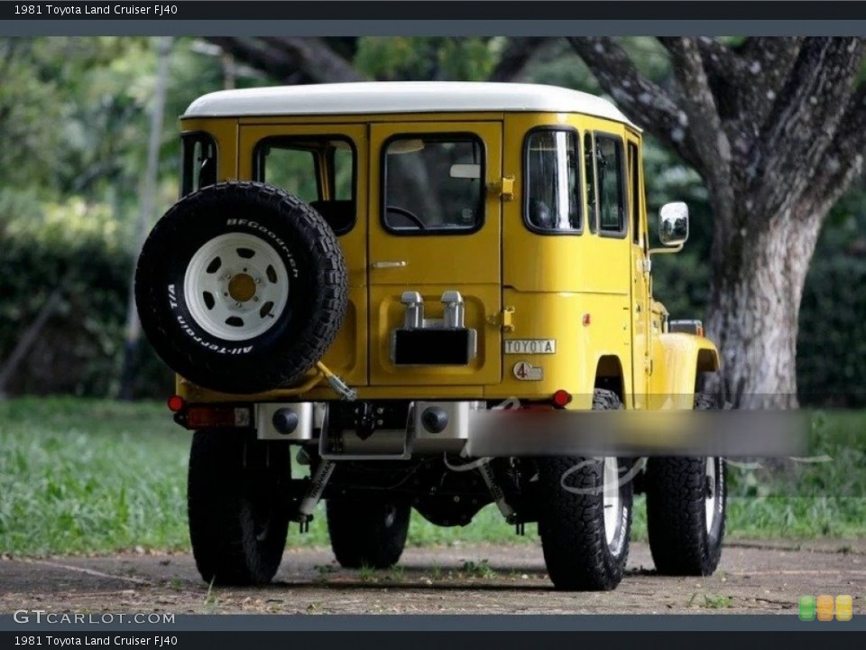 1981 Toyota Land Cruiser Wheels and Tires